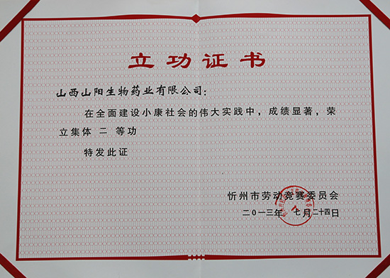 山陽(yáng)藥業(yè)立功證書(shū)